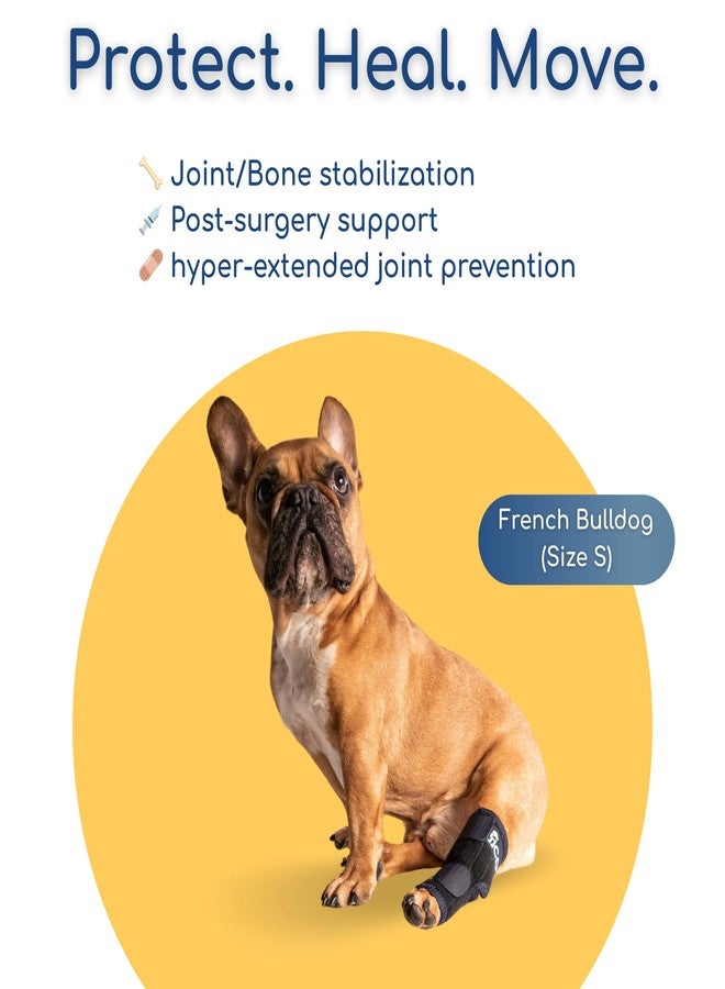 Fico Dog Hock Brace for Ankle Support & Arthritis, Vet Approved Dog Back Leg Brace, Adjustable with Removable Splints, Orthopedic Support for Injuries, Sprains & Post-Surgery Recovery (X Small) - Image 4